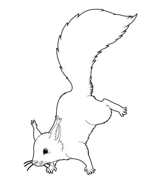 Squirrel. Cartoon animal — Stock Photo, Image