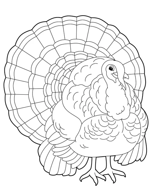 Wild turkey sketch Stock Photos, Royalty Free Wild turkey sketch Images | Depositphotos Wild turkey sketch Stock Photos, Royalty Free Wild turkey sketch Images | Depositphotos