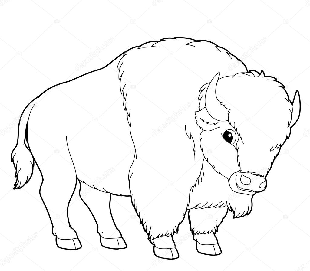 glemsom Algebraisk bar Buffalo. Cartoon animal Stock Photo by ©agaes8080 42658771