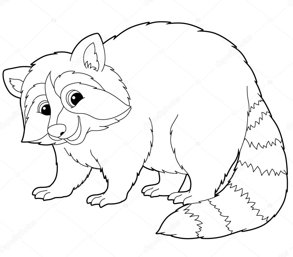 raton laveur animaux de dessin animé — graphie stock photo raccoon cartoon animal