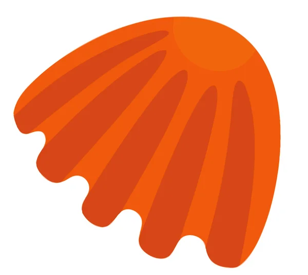 オレンジ色の貝殻 — ストック写真