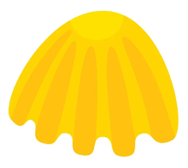Žluté shell — Stock fotografie