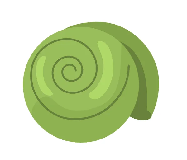 Green seashell — Stock Photo, Image