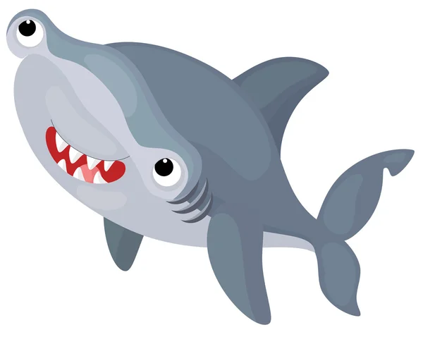 상어 — 스톡 사진