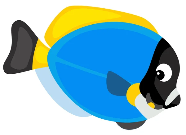 Blaukorallenfische — Stockfoto
