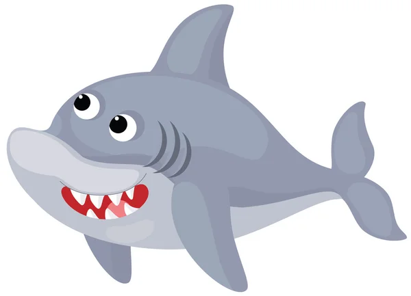 鲨鱼 — 图库照片