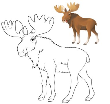 Karikatür hayvan - vahşi moose