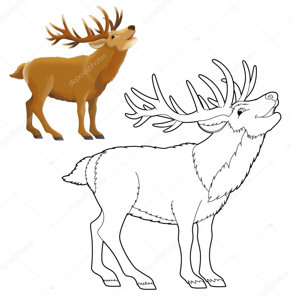 Cartoon animal - wild deer