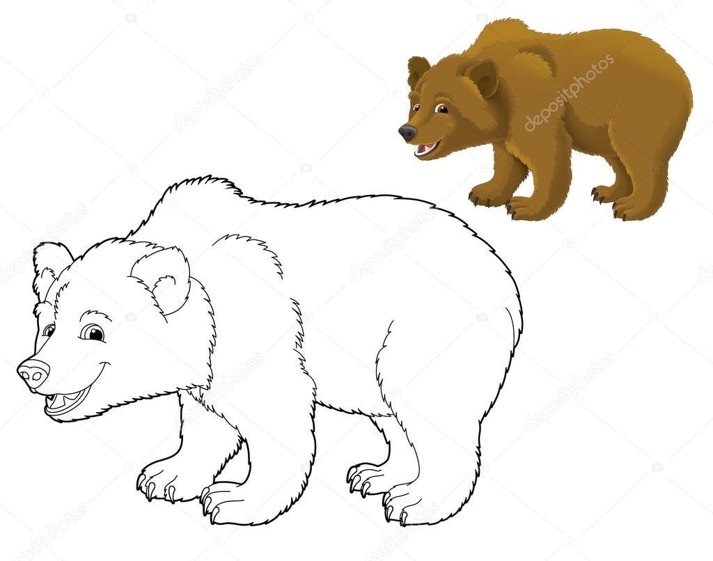 Cartoon animal - wild bear Stock Photo by ©agaes8080 45203209