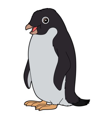 karikatür penguen