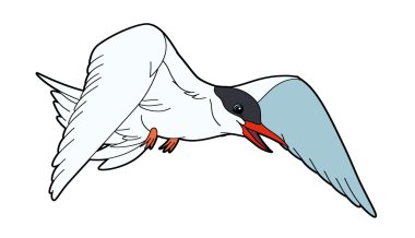 karikatür kuş