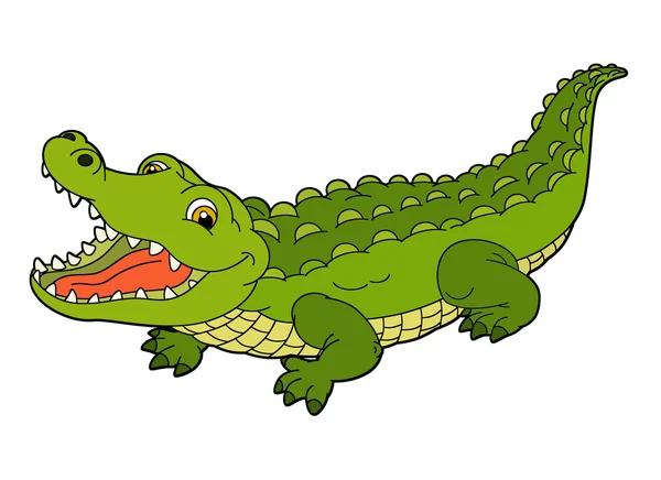 Cartoon krokodil — Stockfoto