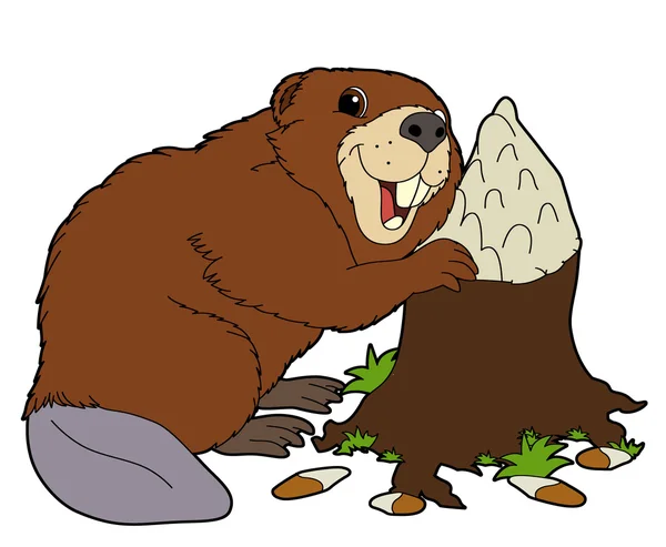 Cartoon beaver — Stockfoto