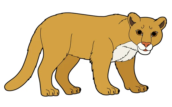 Cartoon lion — Stock Photo, Image