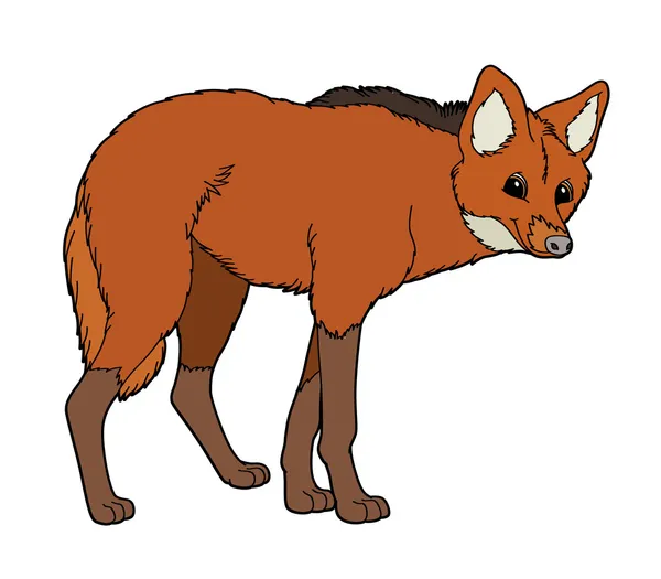 Cartoon Fox — Stockfoto