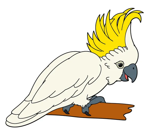 Cartoon vogel — Stockfoto