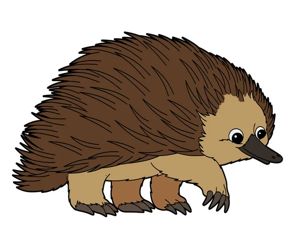 Echidna — Stock Photo © agaes8080 40613435