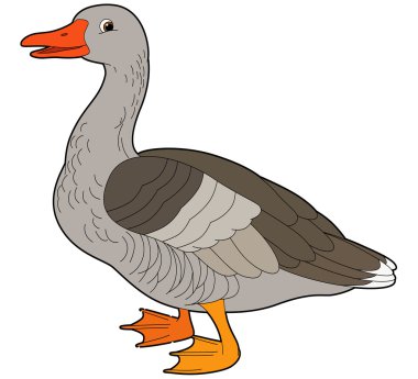 Cartoon goose