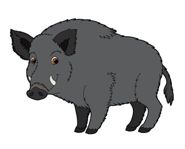 karikatür yaban domuzu