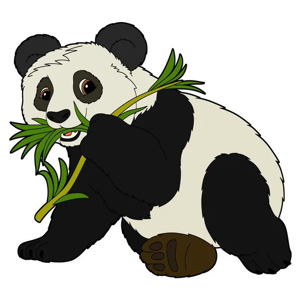 Карикатурные панды — стоковое фото
