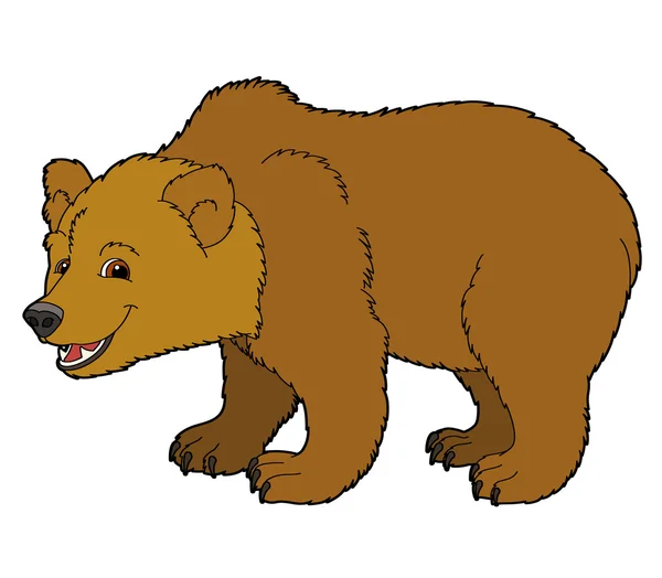 Cartoon bear — Stock Photo, Image