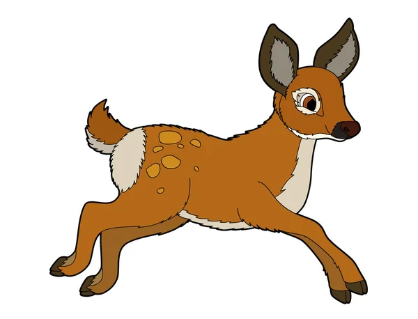 Cartoon roedeer — Stock Photo, Image