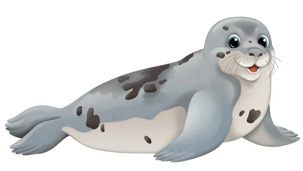 Seal  illustration — Stock Photo, Image