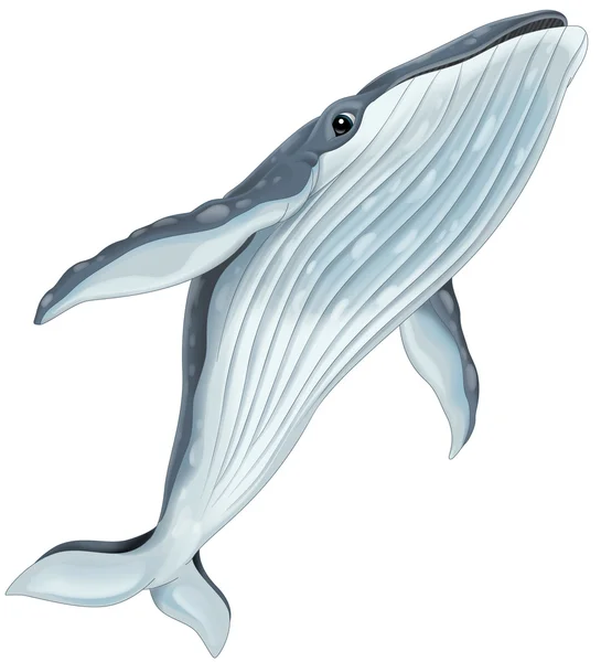 Ilustracja wieloryb — Zdjęcie stockowe