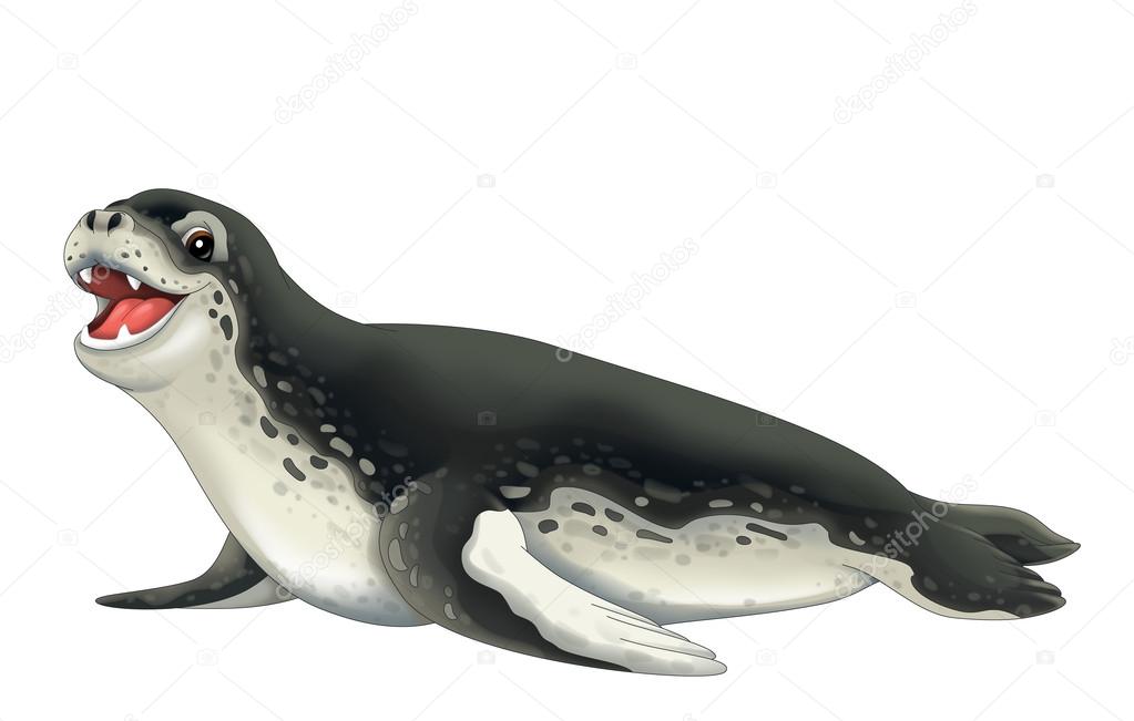 Download - Cartoon animal - sea leopard - flat coloring style - illustratio...