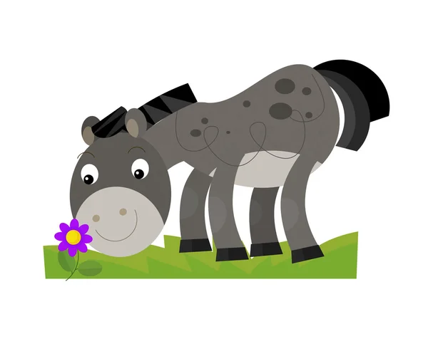 Cartoon paard — Stockfoto