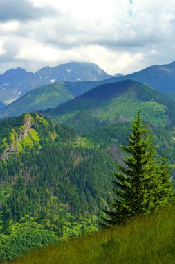 Polonya Tatra mountain