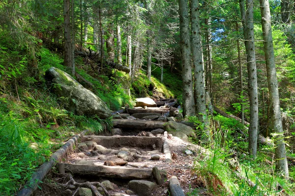 Sentiero in montagna Tatra — Foto Stock