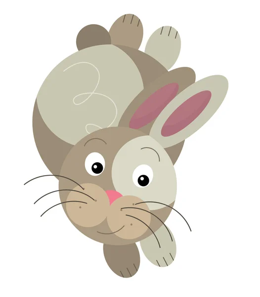 Карикатурный кролик — стоковое фото