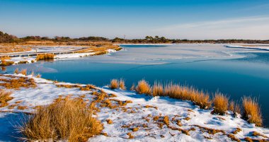 marsh assateague Adası Milli seashore maryl, kar kaplı