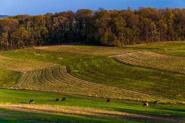 tarım alanları ve tepeler Güney york county, pennsylva