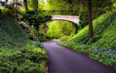 longwood bahçeleri, pennsylvania, köprü altında orman yolu.