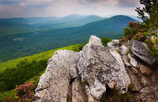 View of the Ridge and Valley Appalachians from Tibbet Knob, in G — Stock Photo, Image