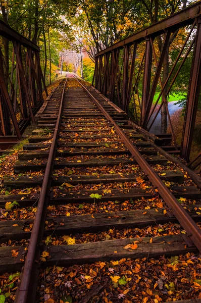 Autumn leaves on a railroad bridge in York County, Pennsylvania. — Stock Photo, Image