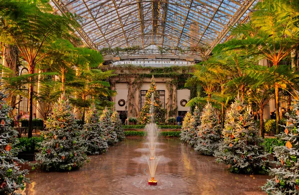 Christmas trees inside the Conservatory at Longwood Gardens, Pen — Stock Photo, Image