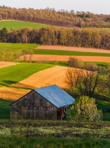 Böljande kullar, gård fält och en lada i södra york county, — Stockfoto