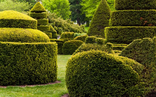 Topiary garden at Longwood Gardens, PA. — Stock Photo, Image