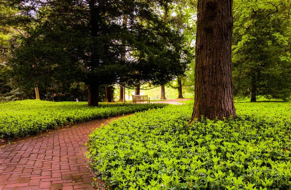 Caminho de tijolo Woodland em Longwood Gardens, Pensilvânia . — Fotografia de Stock