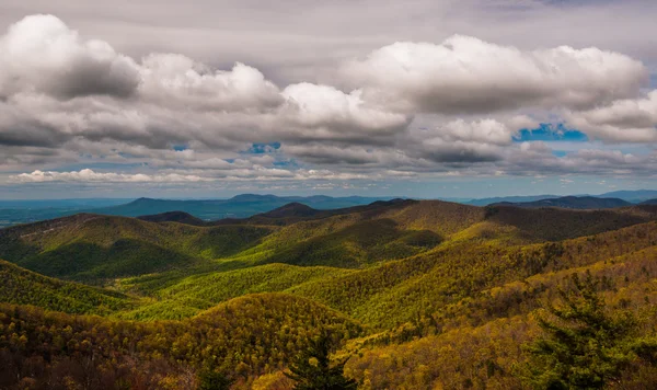 Tidigt på våren färger i blue ridge mountains, sett från skyli — Stockfoto