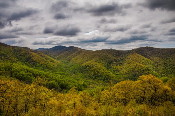 Cores da primavera nas Montanhas Blue Ridge, vistas de Skyli — Fotografia de Stock