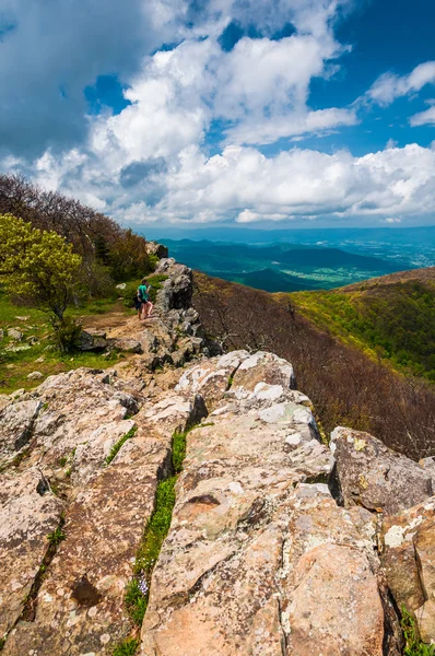 Ранние весенние цвета в горах Голубого хребта, вид с Скайли — стоковое фото