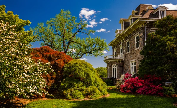 Renkli ağaçlar ve çalılar arkasında cylburn arboretu malikanesinde — Stok fotoğraf