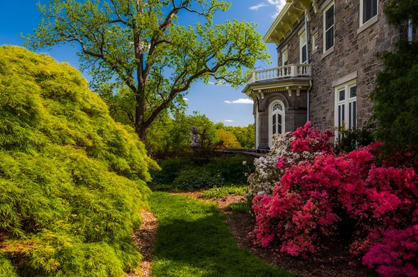 Renkli ağaçlar ve çalılar arkasında cylburn arboretu malikanesinde — Stok fotoğraf