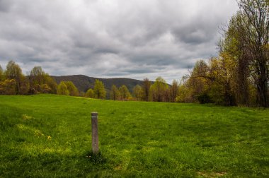 Bir çayır boyunca Appalachian yolun Shenando içinde bulunan iz işareti