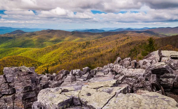 Vista do cume coberto de pedras de Blackrock em Shenandoah — Fotografia de Stock