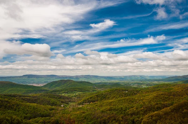 Forårsfarver i Appalachian Mountains og Shenandoah Valley - Stock-foto